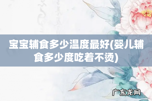 婴儿辅食多少度吃着不烫 宝宝辅食多少温度最好