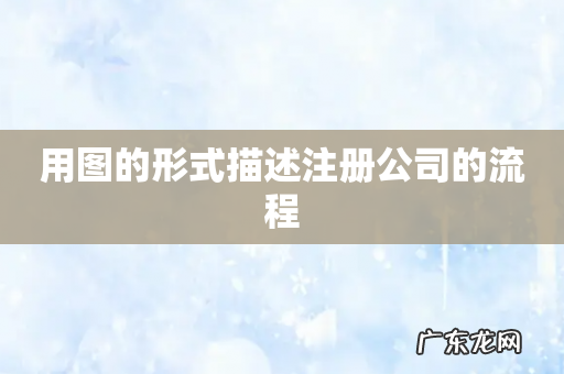 用图的形式描述注册公司的流程