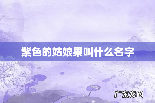 紫色的姑娘果叫什么名字