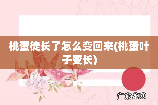 桃蛋叶子变长 桃蛋徒长了怎么变回来