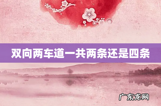 双向两车道一共两条还是四条