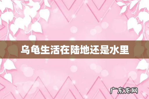 乌龟生活在陆地还是水里