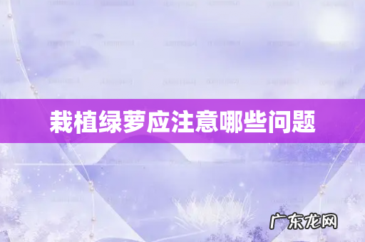 栽植绿萝应注意哪些问题