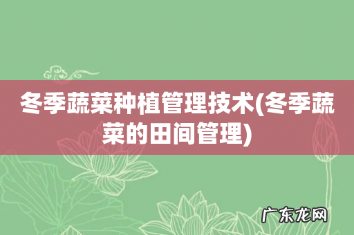 冬季蔬菜的田间管理 冬季蔬菜种植管理技术