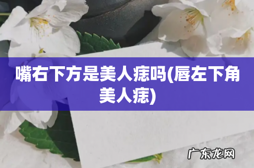 唇左下角美人痣 嘴右下方是美人痣吗