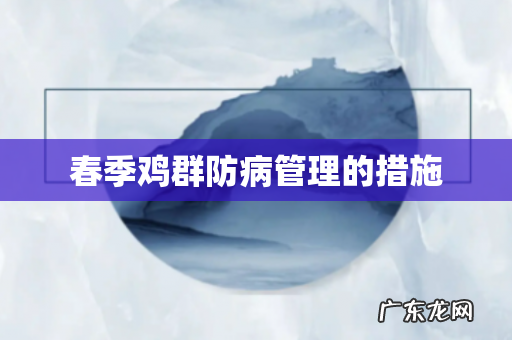 春季鸡群防病管理的措施