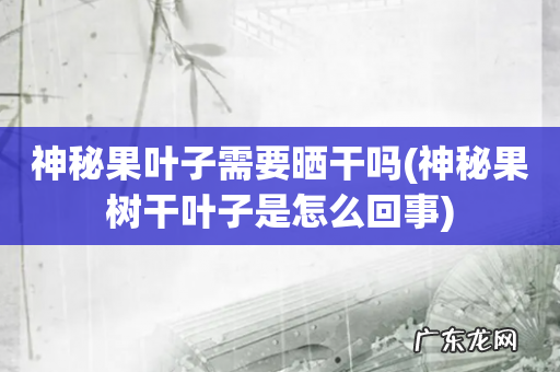 神秘果树干叶子是怎么回事 神秘果叶子需要晒干吗