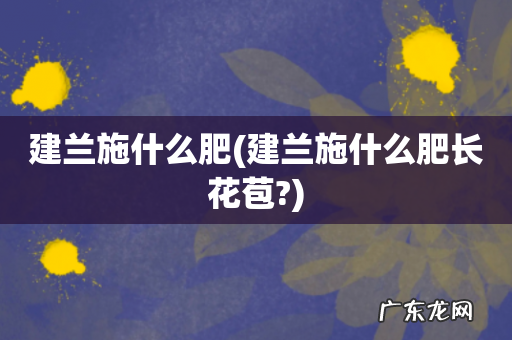 建兰施什么肥长花苞? 建兰施什么肥