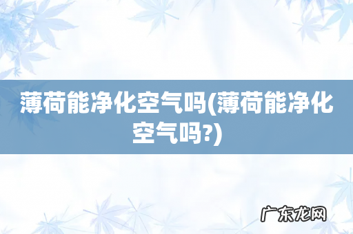 薄荷能净化空气吗? 薄荷能净化空气吗