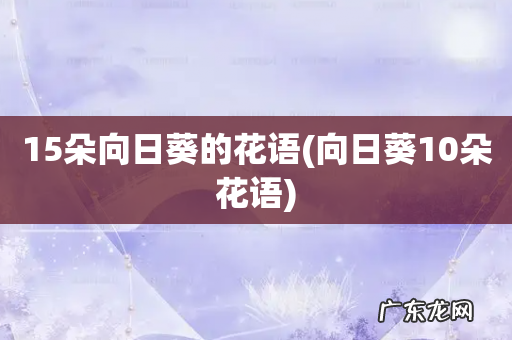 向日葵10朵花语 15朵向日葵的花语