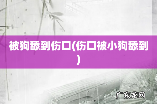 伤口被小狗舔到 被狗舔到伤口