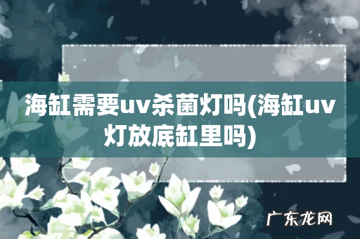 海缸uv灯放底缸里吗 海缸需要uv杀菌灯吗