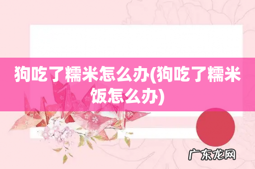 狗吃了糯米饭怎么办 狗吃了糯米怎么办