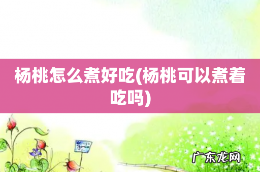 杨桃可以煮着吃吗 杨桃怎么煮好吃