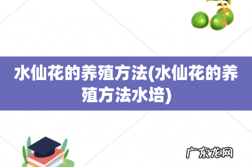水仙花的养殖方法水培 水仙花的养殖方法