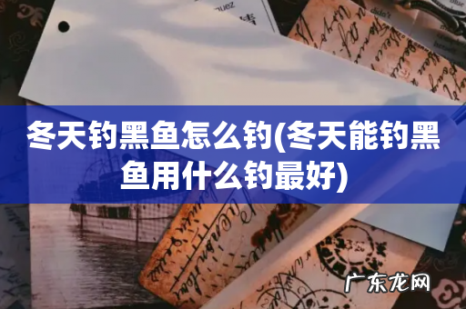 冬天能钓黑鱼用什么钓最好 冬天钓黑鱼怎么钓