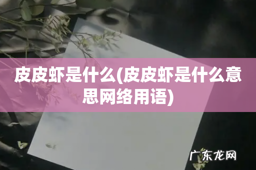 皮皮虾是什么意思网络用语 皮皮虾是什么