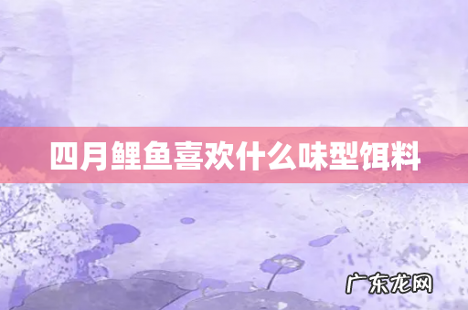 四月鲤鱼喜欢什么味型饵料