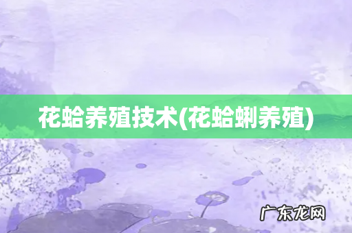 花蛤蜊养殖 花蛤养殖技术