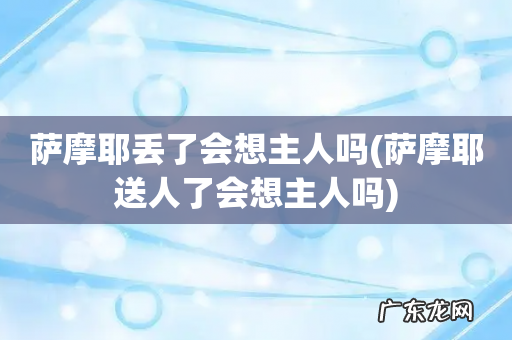 萨摩耶送人了会想主人吗 萨摩耶丢了会想主人吗