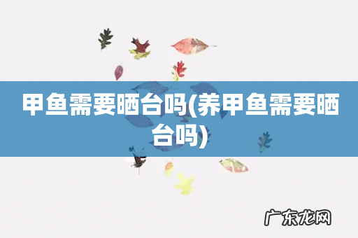 养甲鱼需要晒台吗 甲鱼需要晒台吗