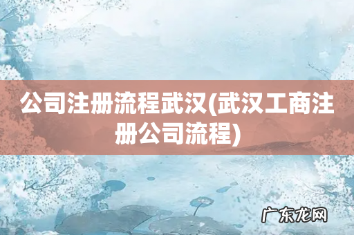 武汉工商注册公司流程 公司注册流程武汉