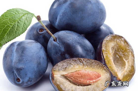 吃西梅有什么好处和坏处 西梅的营养价值与功效与作用l