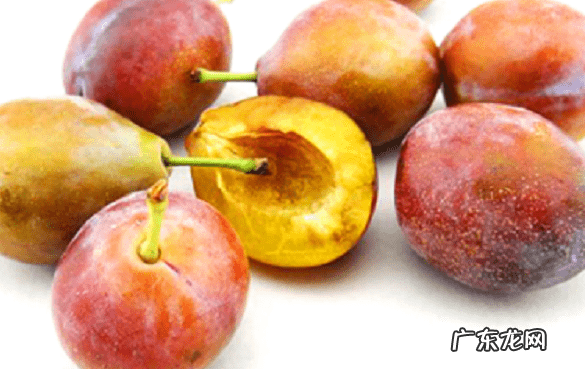 吃西梅有什么好处和坏处 西梅的营养价值与功效与作用l