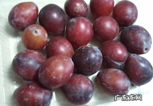吃西梅有什么好处和坏处 西梅的营养价值与功效与作用l