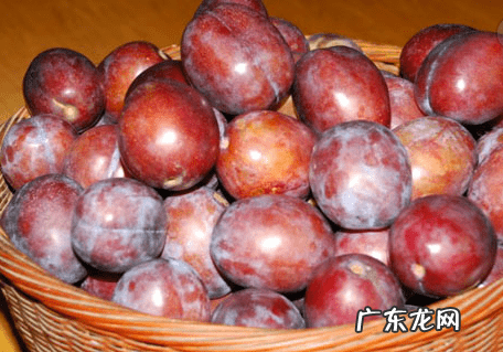 吃西梅有什么好处和坏处 西梅的营养价值与功效与作用l