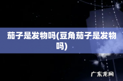豆角茄子是发物吗 茄子是发物吗