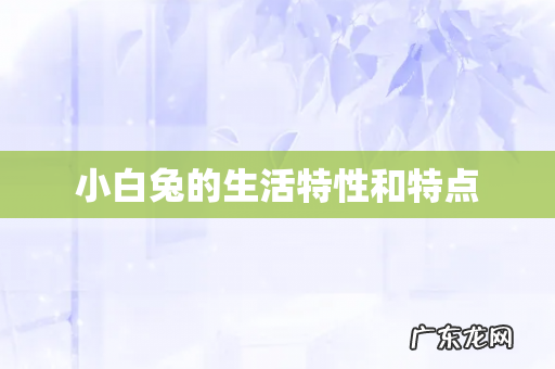 小白兔的生活特性和特点