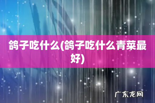 鸽子吃什么青菜最好 鸽子吃什么