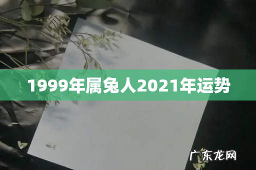 1999年属兔人2021年运势