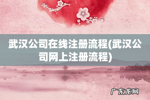 武汉公司网上注册流程 武汉公司在线注册流程