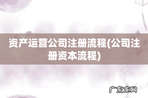 公司注册资本流程 资产运营公司注册流程