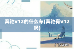 奔驰有v12吗 奔驰v12的什么车