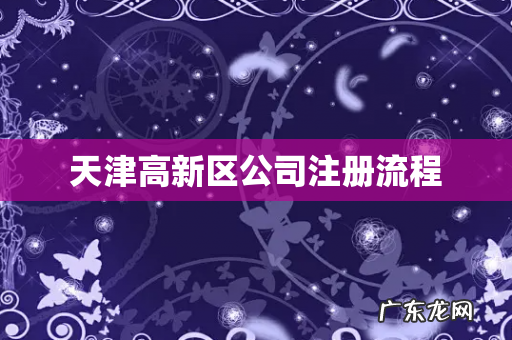 天津高新区公司注册流程