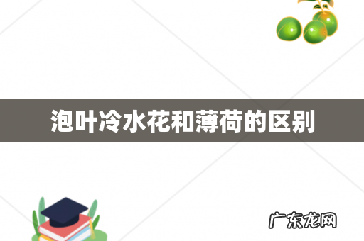 泡叶冷水花和薄荷的区别