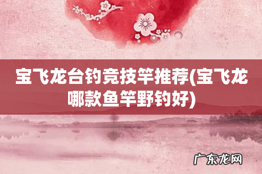 宝飞龙哪款鱼竿野钓好 宝飞龙台钓竞技竿推荐