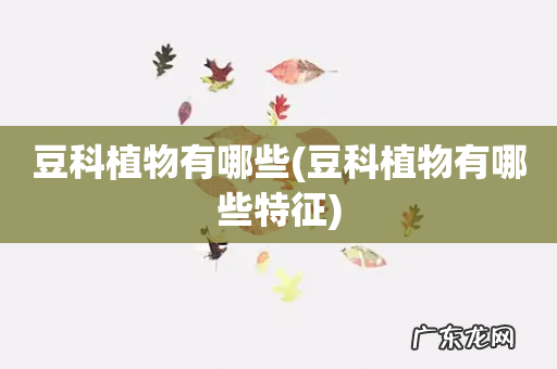 豆科植物有哪些特征 豆科植物有哪些