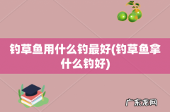 钓草鱼拿什么钓好 钓草鱼用什么钓最好