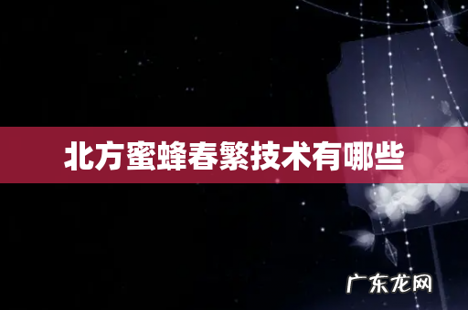 北方蜜蜂春繁技术有哪些