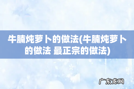 牛腩炖萝卜的做法 最正宗的做法 牛腩炖萝卜的做法