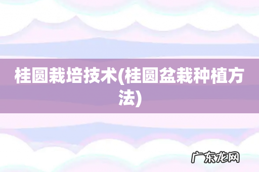 桂圆盆栽种植方法 桂圆栽培技术