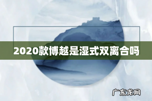 2020款博越是湿式双离合吗