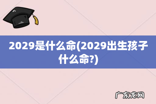 2029出生孩子什么命? 2029是什么命