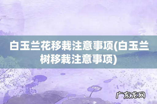 白玉兰树移栽注意事项 白玉兰花移栽注意事项