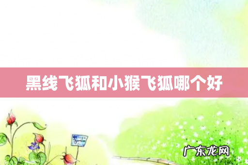 黑线飞狐和小猴飞狐哪个好