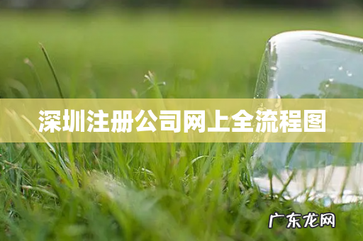深圳注册公司网上全流程图